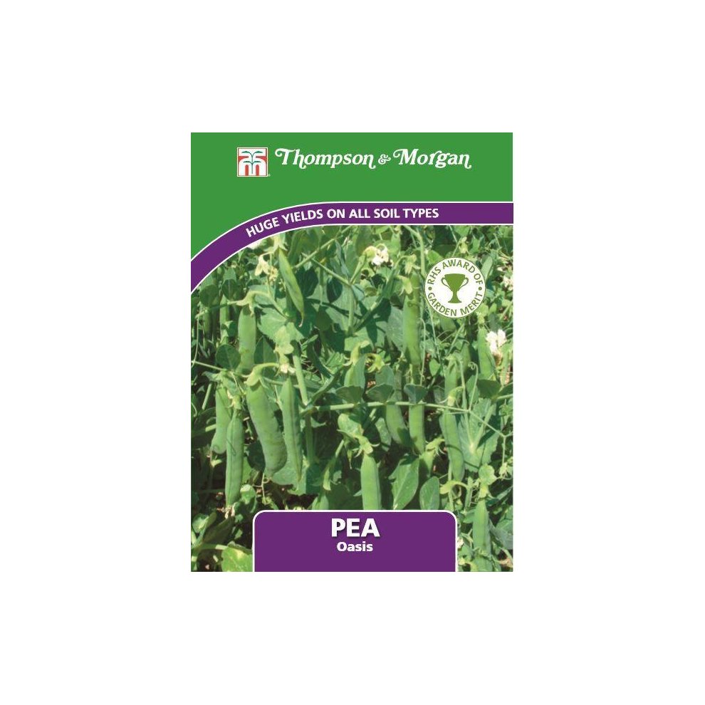 Pea Oasis Seeds