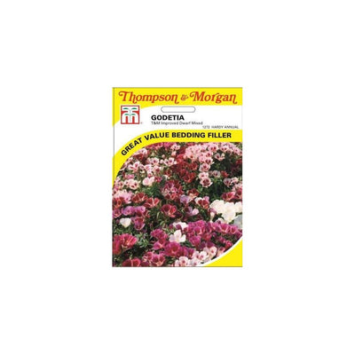 Godetia Improved Dwarf Mixed Seeds