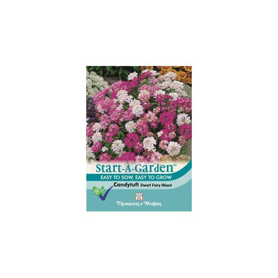 Candytuft Dwarf Fairy Mixed Seeds