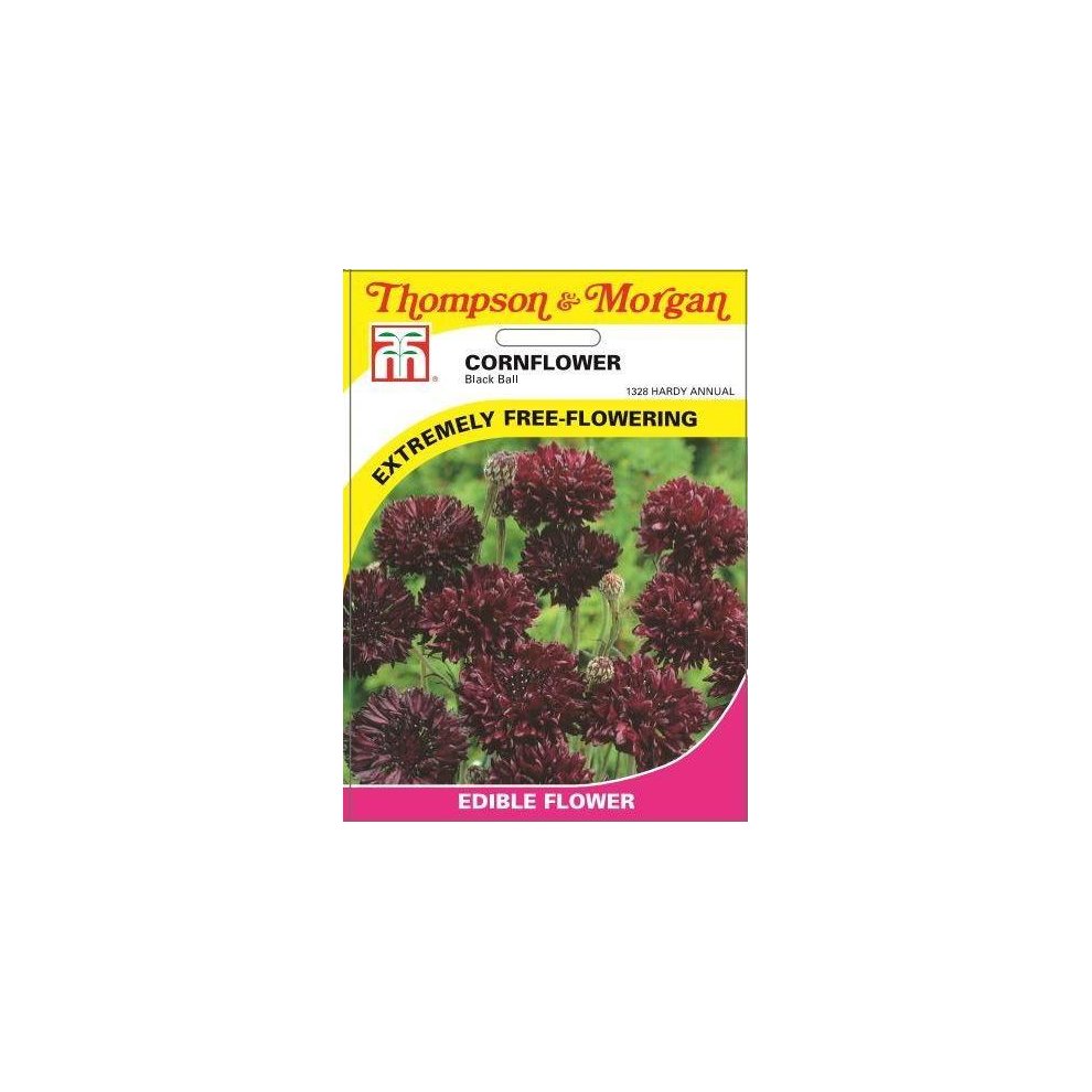 Cornflower Black Ball Seeds