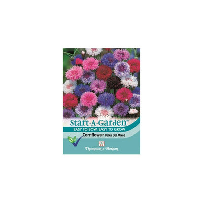 Cornflower Polka Dot Mixed Seeds
