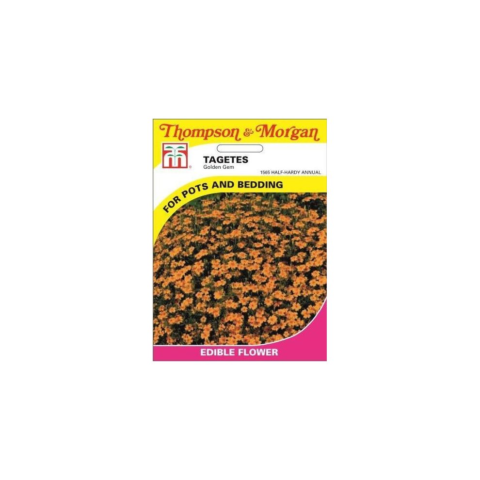Tagetes Golden Gem Seeds