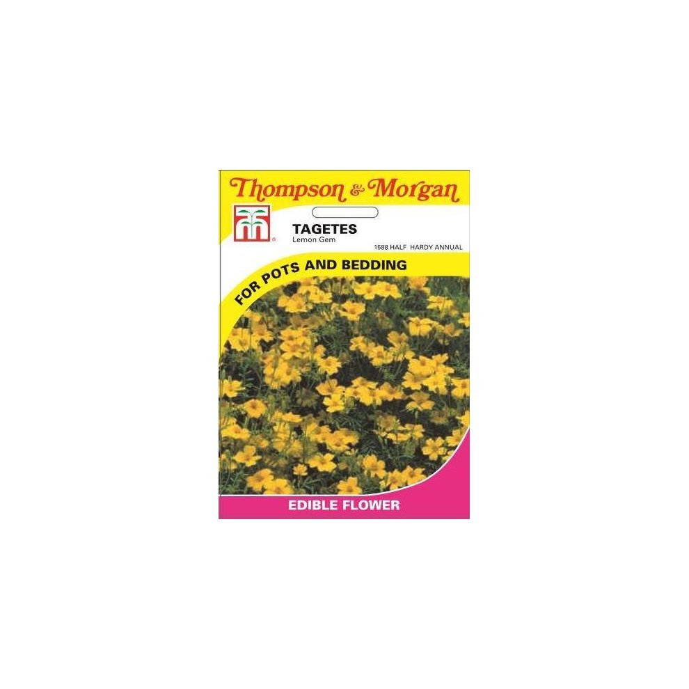 Tagetes Lemon Gem Seeds
