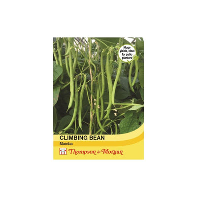 Thompson & Morgan Climbing Bean Mamba Seeds 45
