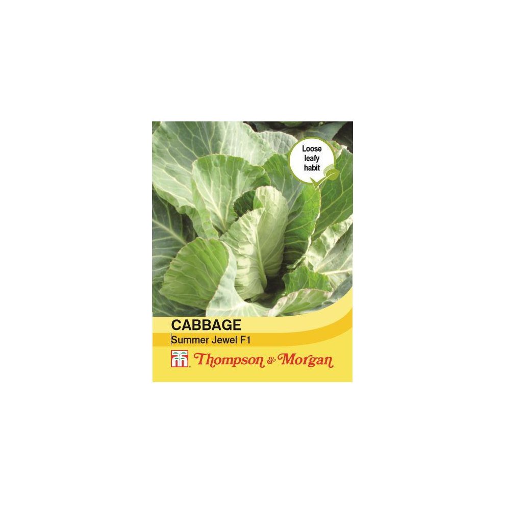 Thompson & Morgan Cabbage Summer Jewel F1 Seeds 40