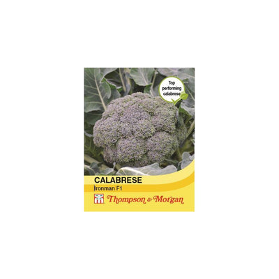 Thompson & Morgan Calabrese Ironman F1 Hybrid Seeds 30