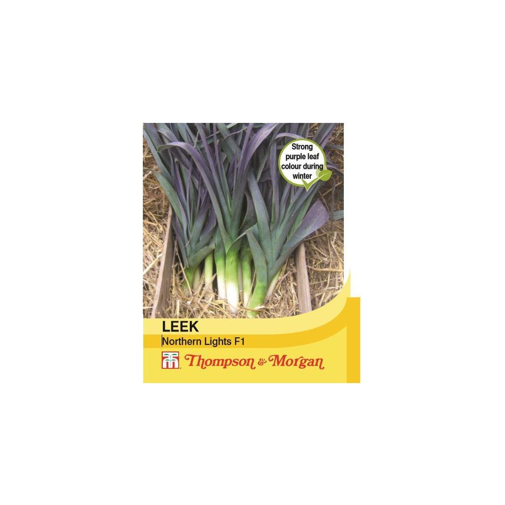 Thompson & Morgan Leek Northern Lights F1 Hybrid Seeds 45