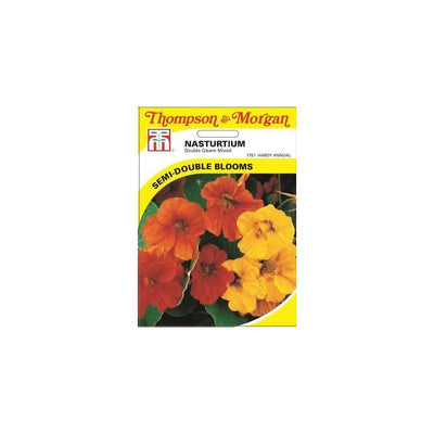 Nasturtium Double Gleam Mixed Seeds