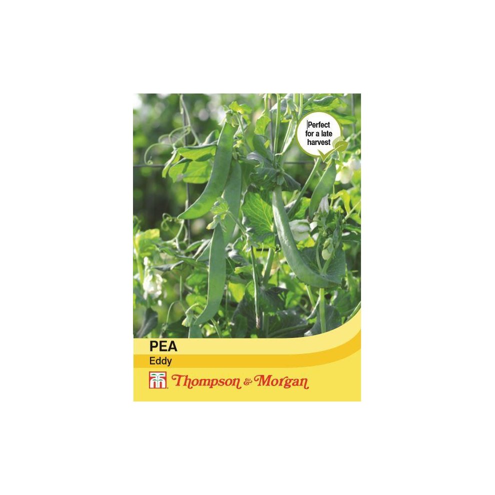 Thompson & Morgan Pea Eddy Seeds 300