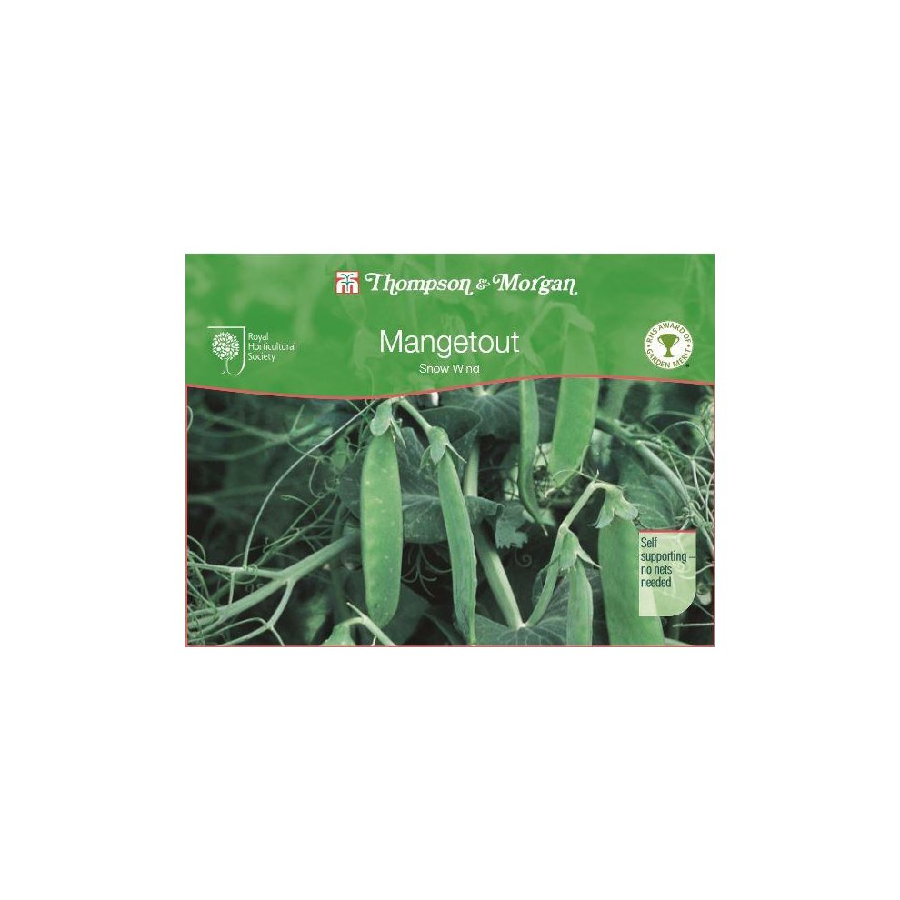 Thompson & Morgan Mangetout Snow Wind Seeds 150