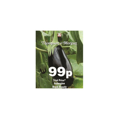 Thompson & Morgan Aubergine Black Beauty Seeds 8 Pack