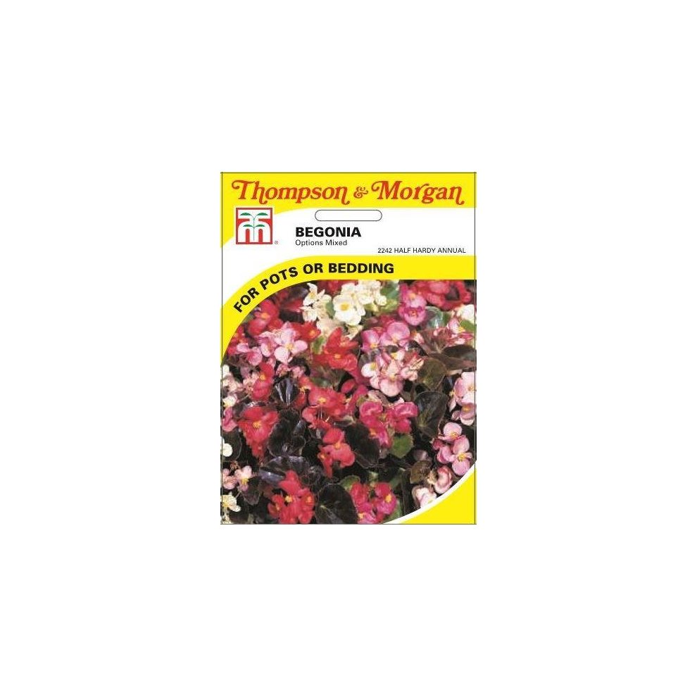 Begonia Semperflorens Options Mixed Seeds