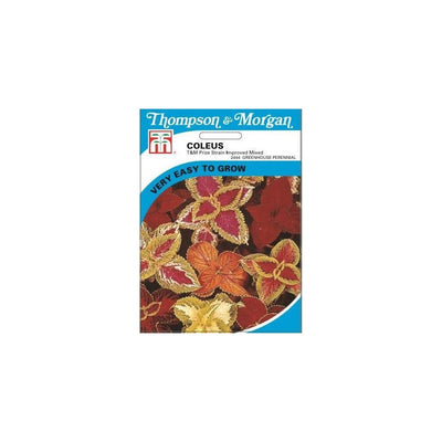Coleus T&M Prize Strain Improved Seeds
