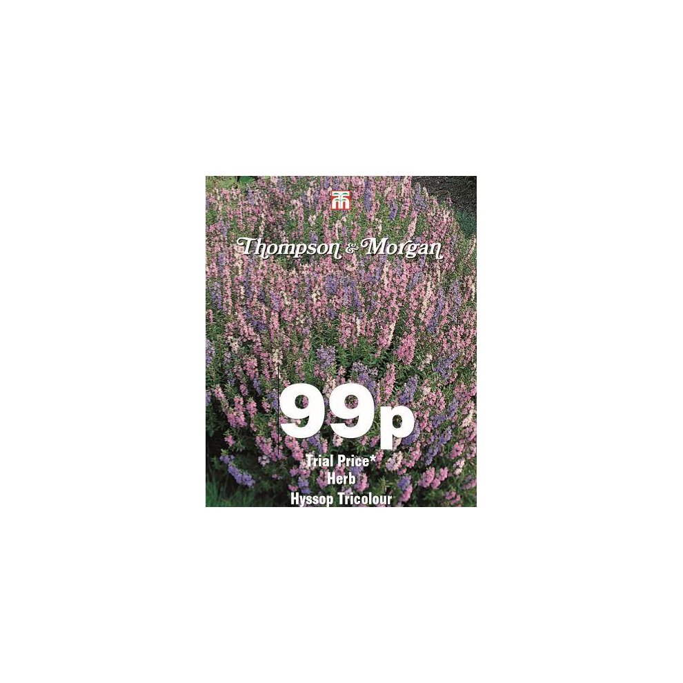 Thompson & Morgan Hyssop Tricolour Seeds 200