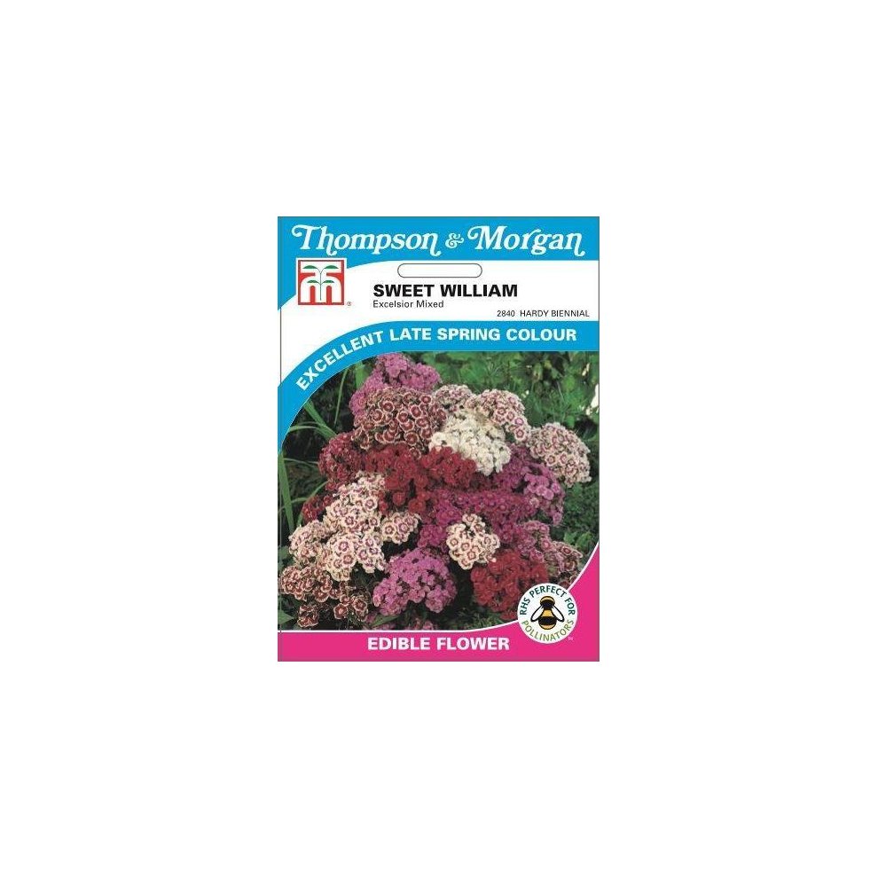 Sweet William Excelsior Mixed Seeds