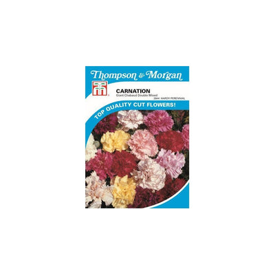 Carnation Giant Chabaud Double Mixed Seeds