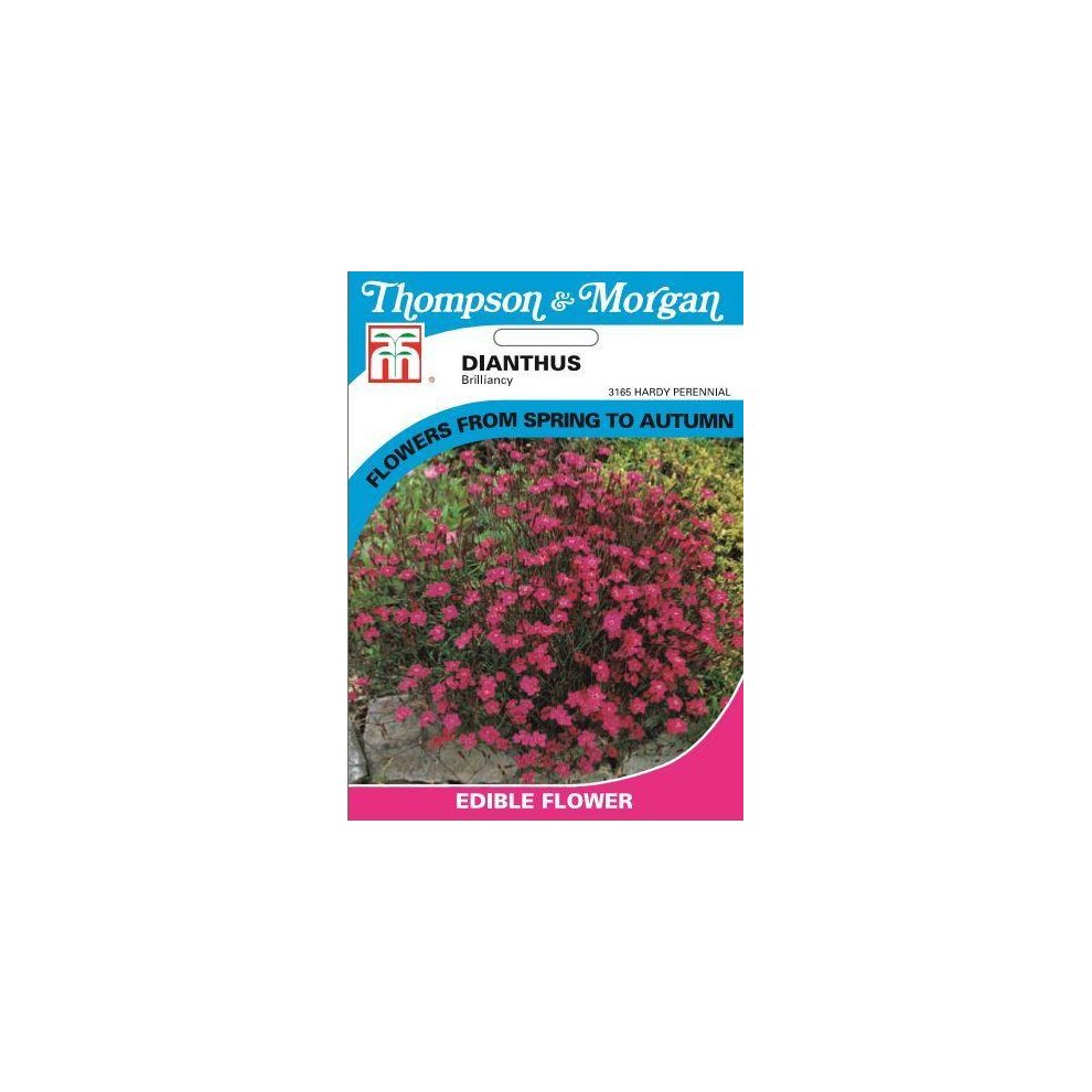 Dianthus Maiden Pink Brilliancy Seeds