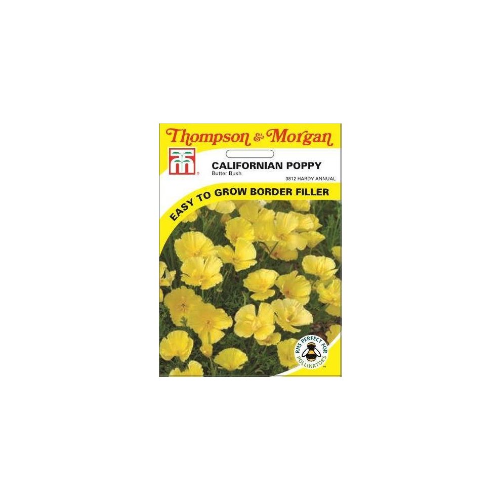 Californian Poppy Butter Bush Seeds 150