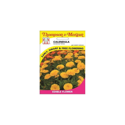 Calendula Candyman Yellow Seeds