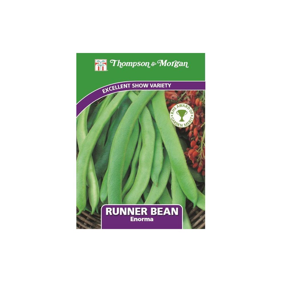 Runner Bean Enorma Seeds