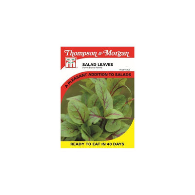 Sorrel Blood Veined Seeds 300 Seed