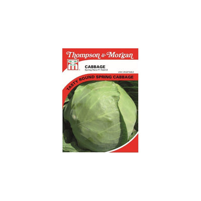 Thompson & Morgan Cabbage Spring Hero F1 Seeds 35