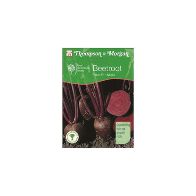 Beet Pablo Seeds
