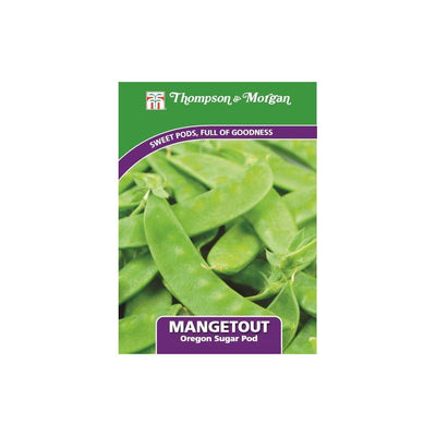 Mangetout Oregon Sugar Pod Seeds