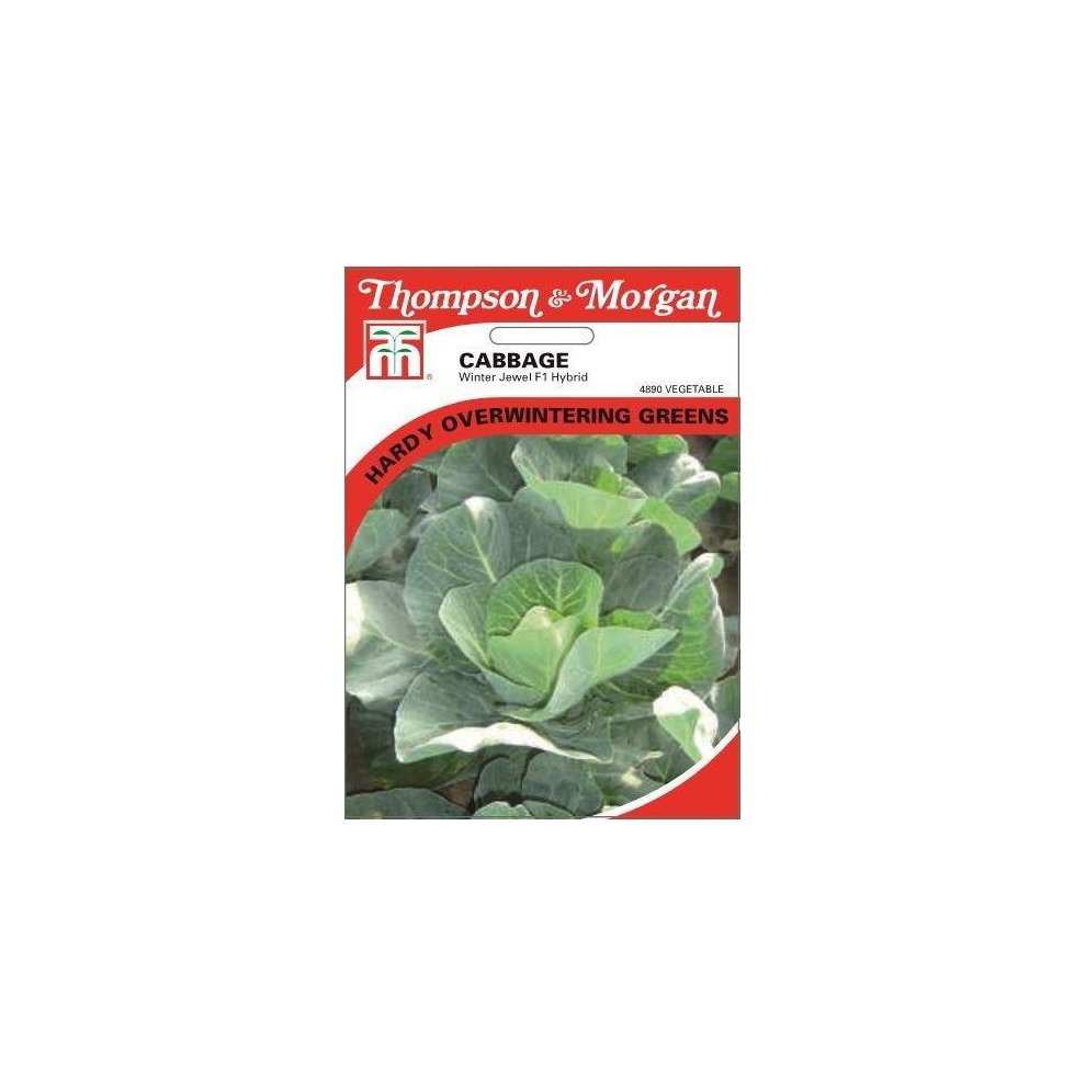 Cabbage Winter Jewel F1 Hybrid Seeds