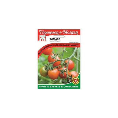 Tomato Losetto F1 Hybrid Seeds