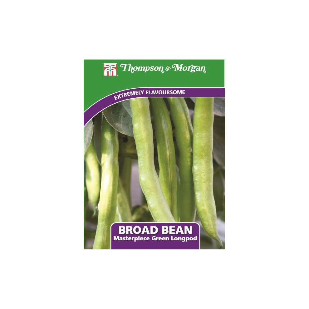 Broad Bean Masterpiece Green Longpod Seeds