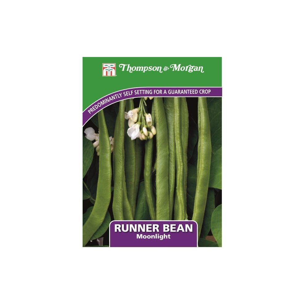 Runner Bean Moonlight Seeds