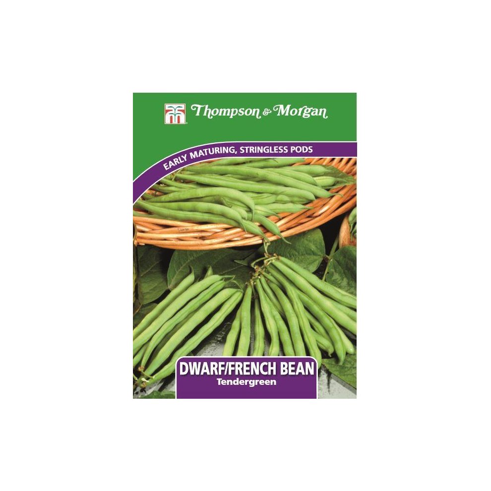 Dwarf Bean Tendergreen Seeds