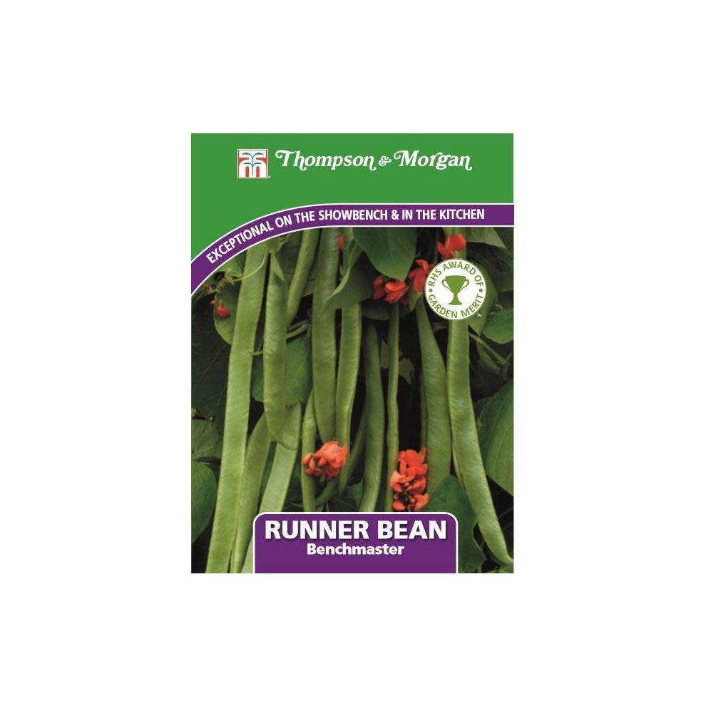 Runner Bean Benchmaster Seeds