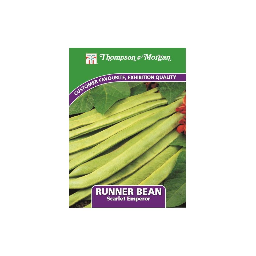 Runner Bean Scarlet Emperor Seeds