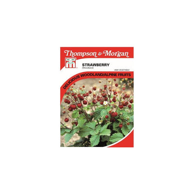 Strawberry Woodland Seeds