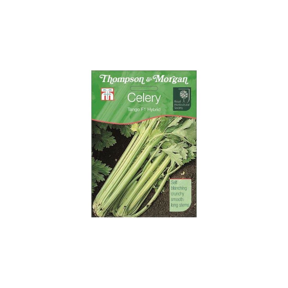 Celery Tango F1 Hybrid Seeds