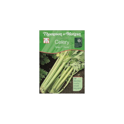 Celery Tango F1 Hybrid Seeds