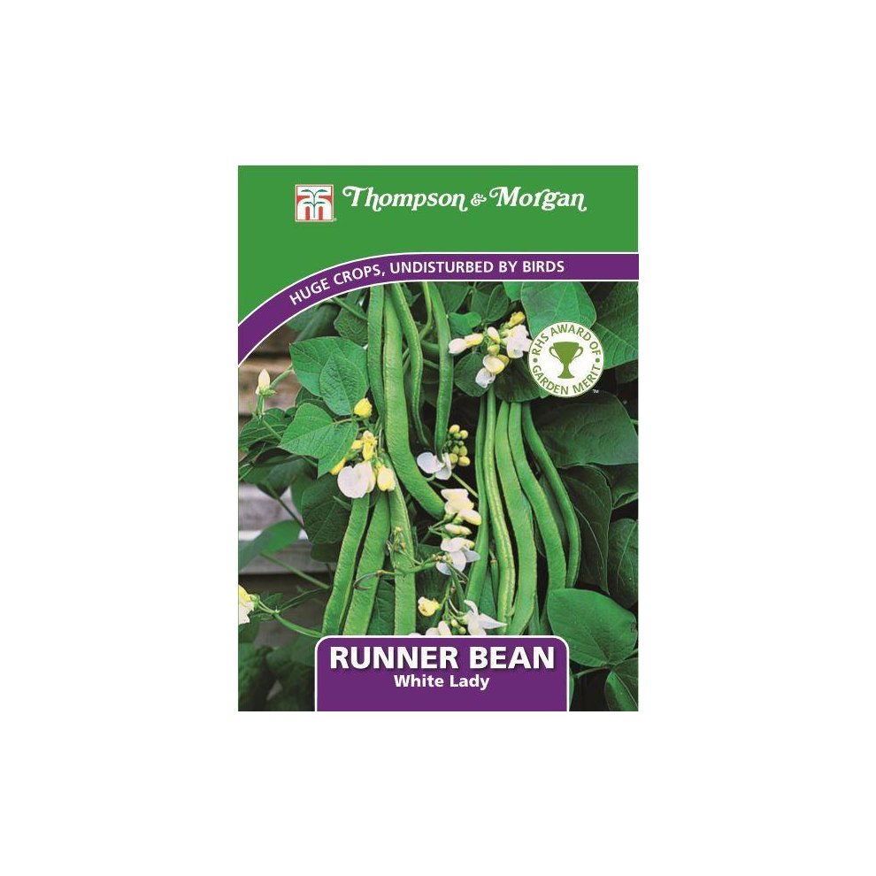 Runner Bean White Lady Seeds