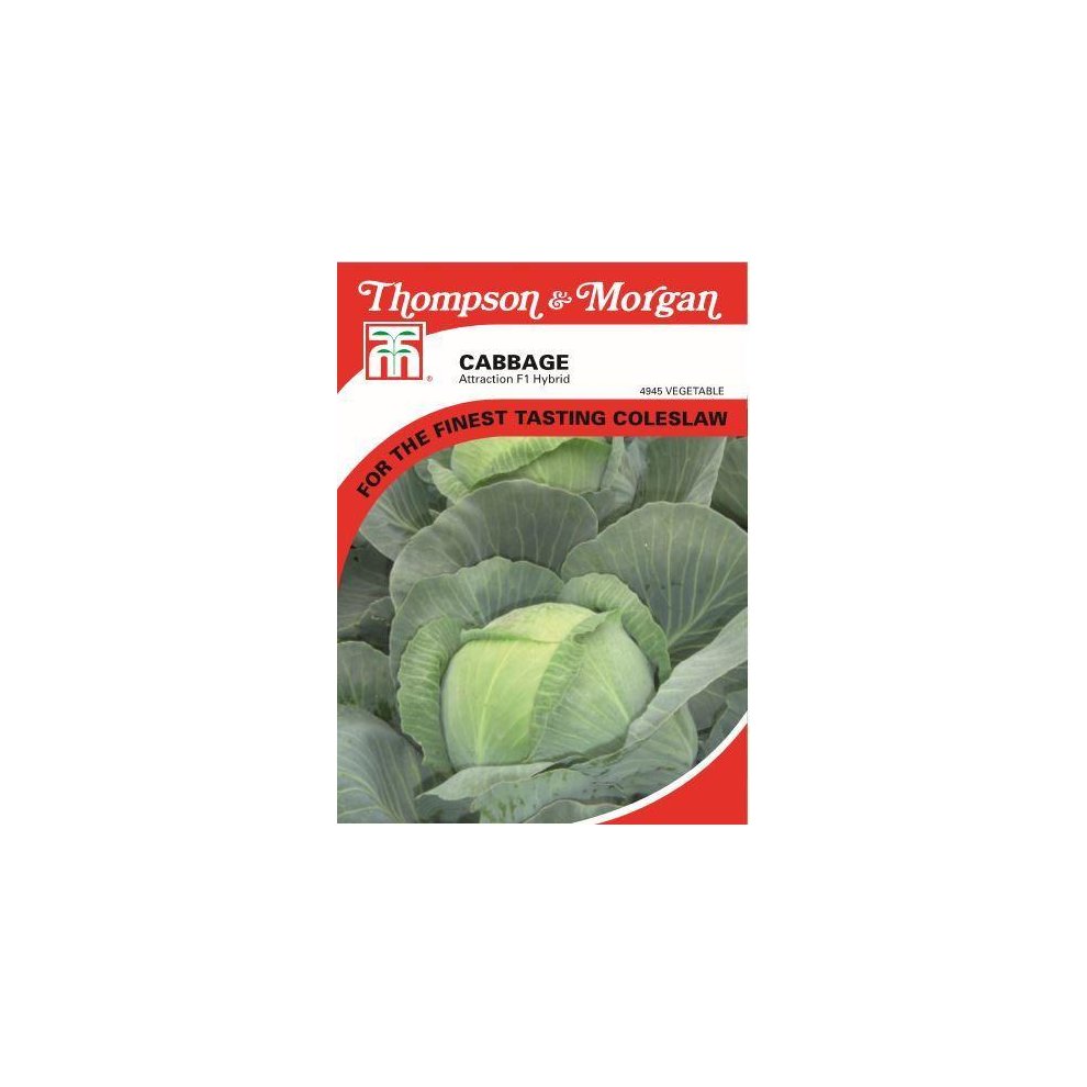 Cabbage Attraction Seeds
