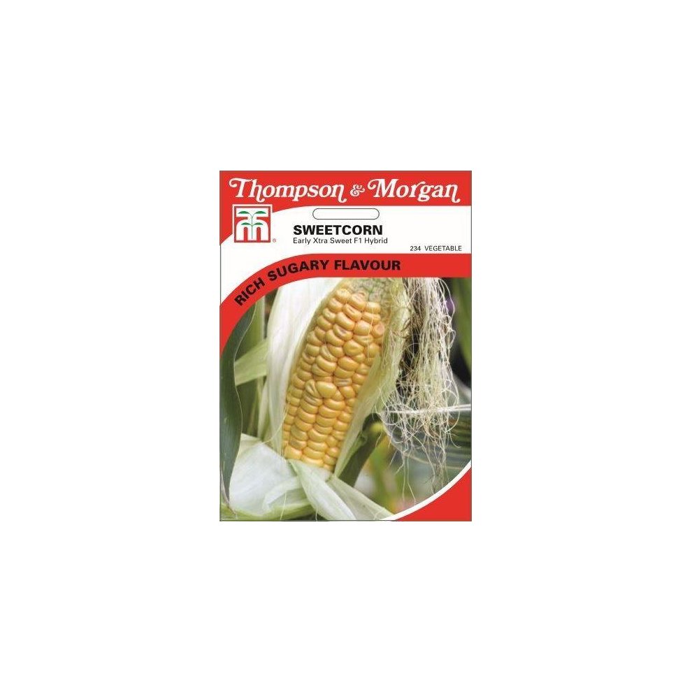 Sweetcorn Early Xtra Sweet F1 Hybrid Seeds