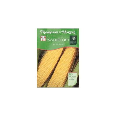 Sweetcorn Lark F1 Hybrid Seeds