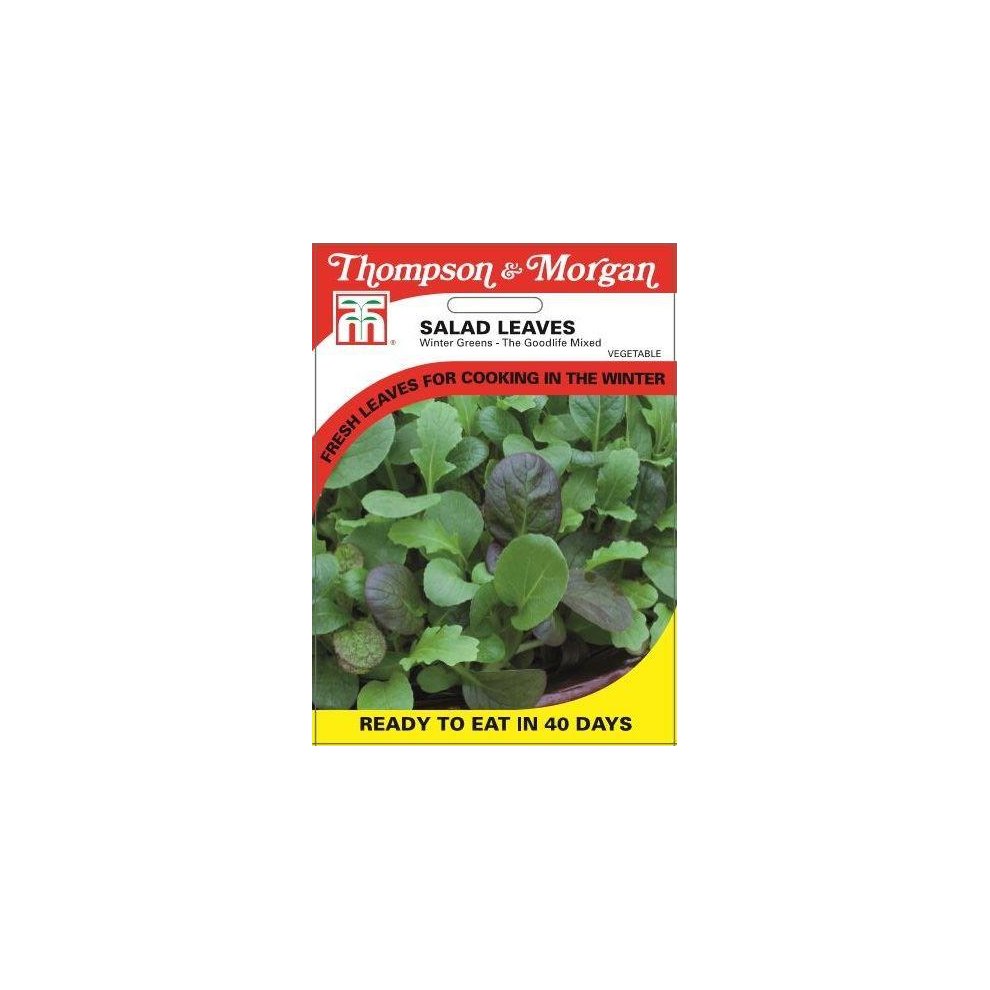 Salad Leaves Winter Greens The Good Life Mixed Seeds