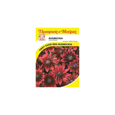 Rudbeckia Cherry Brandy Seeds