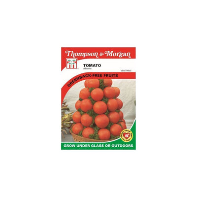 Tomato Alicante Seeds