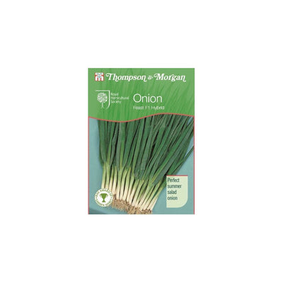 Onion Feast Seeds