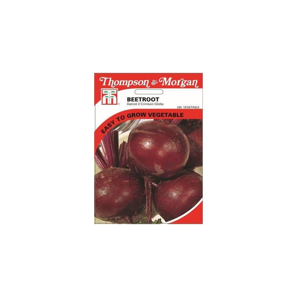 Beetroot Detroit 2 Crimson Globe Seeds
