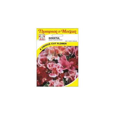 Godetia Azalea Flowered Mixed Seeds