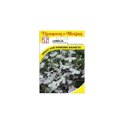 Lobelia Trailing White Cascade Seeds