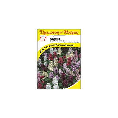 Stocks Dwarf Ten Week Mixed Seeds